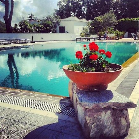 Hotel Al Bosco Forio di Ischia エクステリア 写真