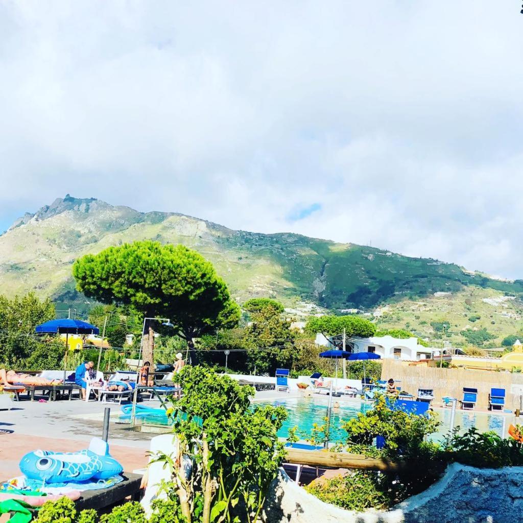 Hotel Al Bosco Forio di Ischia エクステリア 写真